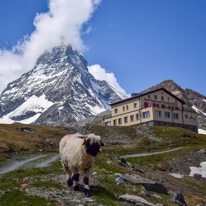 Hotel Schwarzsee Zermatt Ngoại thất bức ảnh